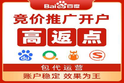 初学者的百度竞价推广：成功案例揭秘